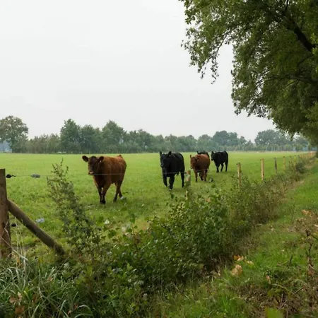 Achterhoek With Heated Pool